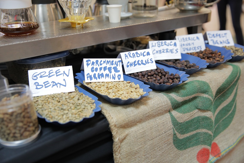 Malaysia Coffee Fest Variety of coffee beans.